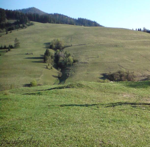 Zázrivá 